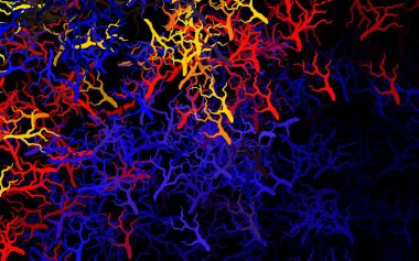 Koyu mavi, kırmızı vektör doğal sanat eserleri yapraklar, dallar. Yaprakları ve dalları olan parlak renkli çizimler. İş tasarımınız için yepyeni bir tarz.