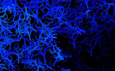 Koyu mavi vektör, yapraklı, dallı doğal zemin. Yaprakları ve dalları olan parlak renkli çizimler. Duvar kağıtları, boyama kitapları için desen.