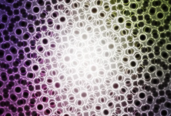 Açık pembe, daire şekilli yeşil vektör düzeni. Parlak renkli soyut çemberlerin olduğu bir resim. İş ilanınız için tasarım.