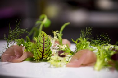 Nodric modern salata