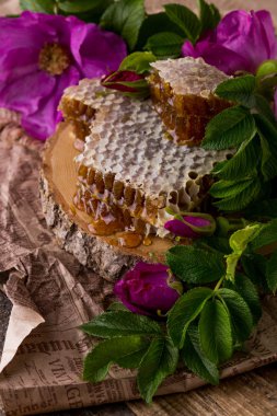 Arı kovanı. Arı ürün. Bal ile Servis Kahvaltı.