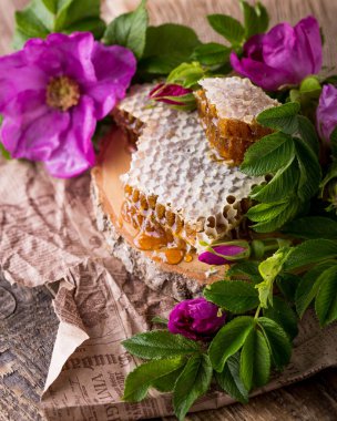 Arı kovanı. Arı ürün. Bal ile Servis Kahvaltı.