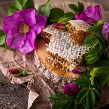 Arı kovanı. Arı ürün. Bal ile Servis Kahvaltı.
