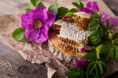 Arı kovanı. Arı ürün. Bal ile Servis Kahvaltı.