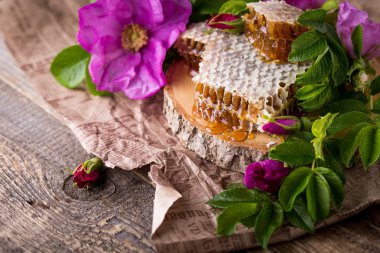 Arı kovanı. Arı ürün. Bal ile Servis Kahvaltı.