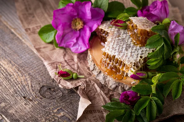 Arı kovanı. Arı ürün. Bal ile Servis Kahvaltı.