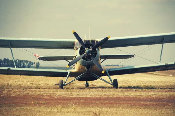 Antonov cornhusker plane on the field — Stock Photo, Image