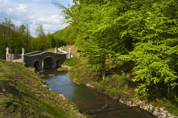 Dağ nehri üzerindeki taş köprü.