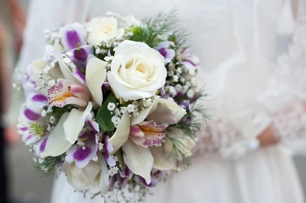 Bridal wedding  bouquet of roses and orchids in hands Royalty Free Stock Images