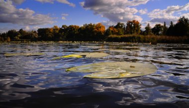 Muhteşem sonbahar Gölü