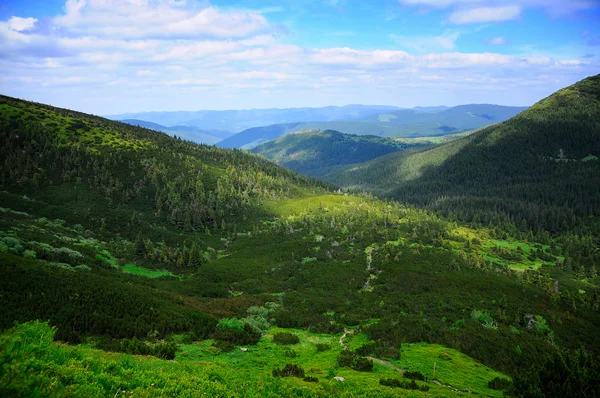 Hermosas montañas de Karpatian — Foto de Stock