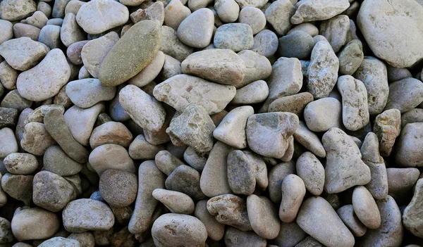 The piece of a coast — Stock Photo, Image