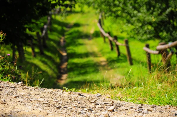 yol yol yol