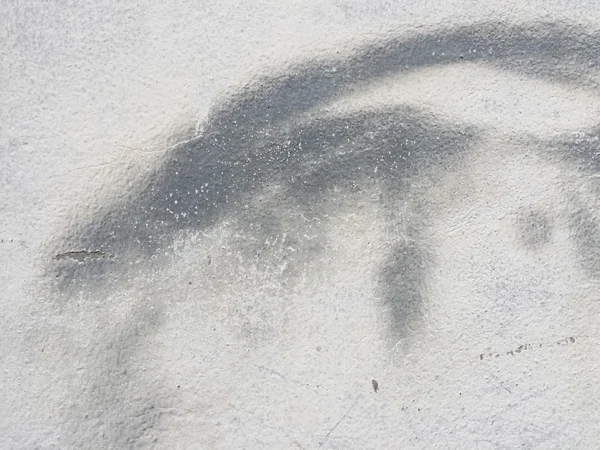 Grunge çimento arka plan        