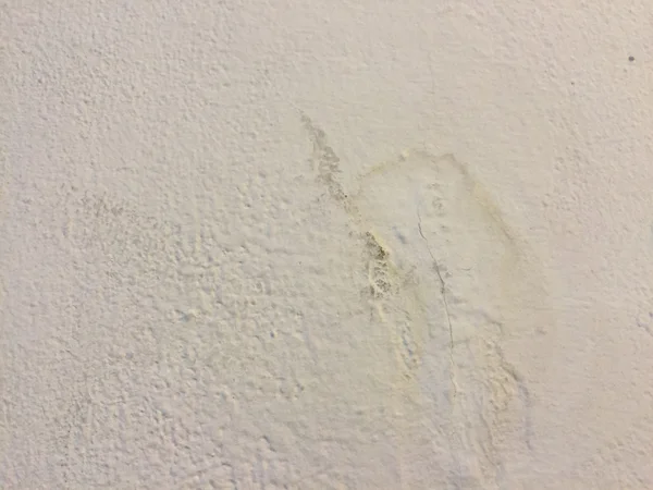 Grunge çimento arka plan    