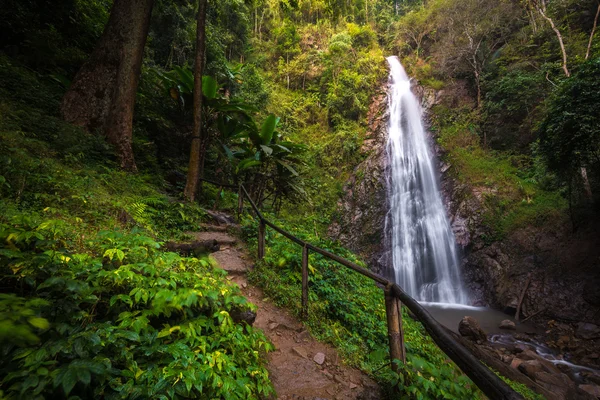 Derin orman şelale (Khunkorn şelale), Chiang rai Eyaleti, Tayland.