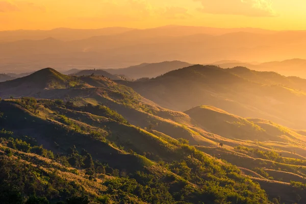 Dağ (DOI chang), Chiangrai, Tayland.