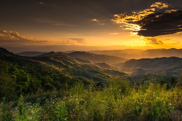 Dağ (DOI chang), Chiangrai, Tayland.