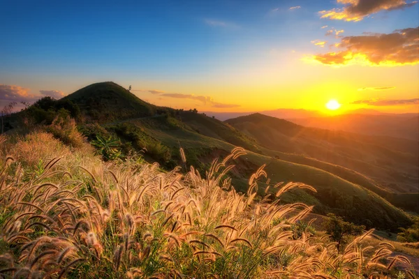 Dağ (DOI chang), Chiangrai, Tayland.