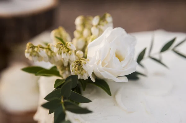 Hochzeit im Frühling im Park mit Dekor — Stockfoto