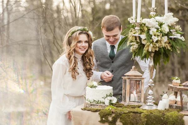 Wedding in the spring in park with a decor — Stock Photo, Image