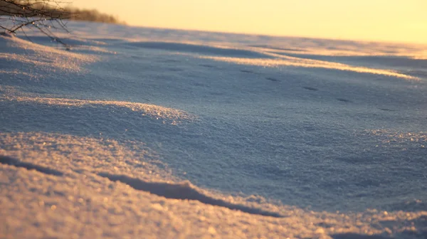 Winter field at sunset — Stock Photo, Image