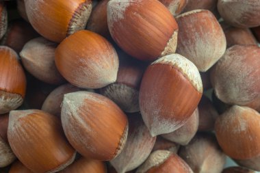 Fındık yığınını