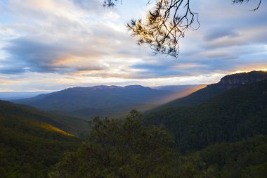 Mavi dağlar Avustralya