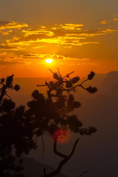 Parque Nacional do Grand Canyon — Fotografia de Stock