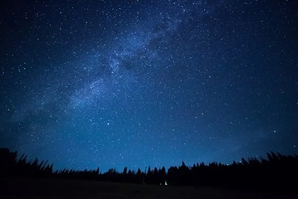 Blå mörka natthimlen med många stjärnor ovanför fältet av träd. Milkyw — Stockfoto