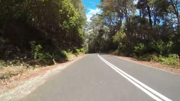 Автомобиль, проезжающий через лес в Тасмании, Австралия . — стоковое видео