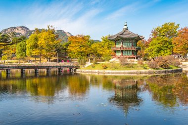 Sonbahar Gyeongbokgung Sarayı Seul, Kore
