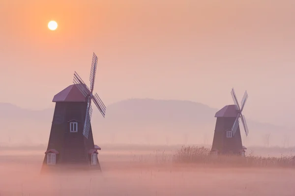 Herfst landschap mistige ochtend op de houten windmolens in de pa — Stockfoto