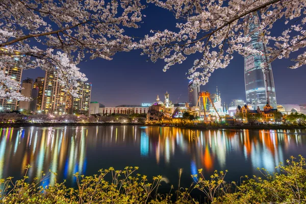 Geceleri Lotte World eğlence parkı içinde baharın kiraz çiçeği — Stok fotoğraf