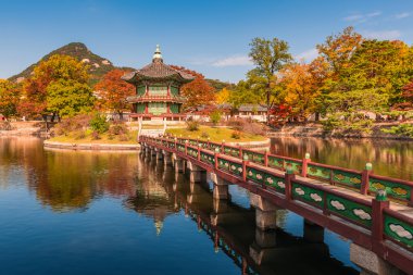 Sonbahar Gyeongbokgung Sarayı Seul, Kore