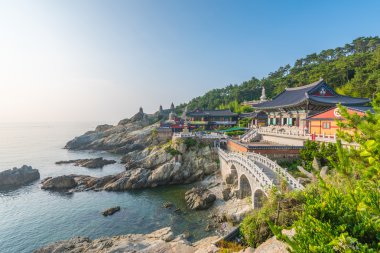 Güney Kore Busan 'daki Haedong Yonggungsa Tapınağı
