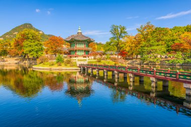 Sonbahar Gyeongbokgung Sarayı Seul, Kore