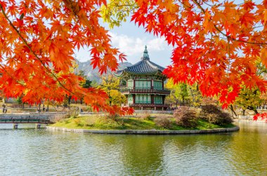 Sonbahar Gyeongbokgung Sarayı Seul, Kore