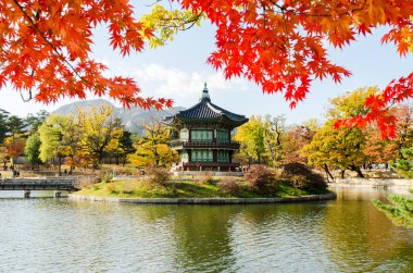 Sonbahar Gyeongbokgung Sarayı Seul, Kore.