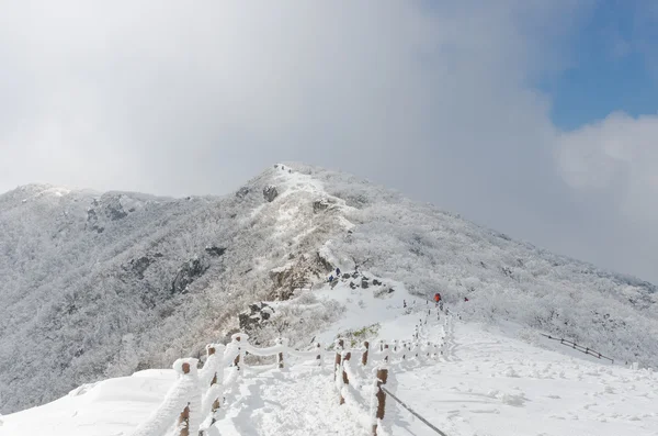 Winter landschap witte sneeuw van berg in Zuid-Korea. — Stockfoto