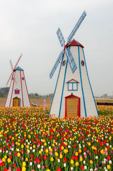 Tulpaner i park.south korea. — Stockfoto