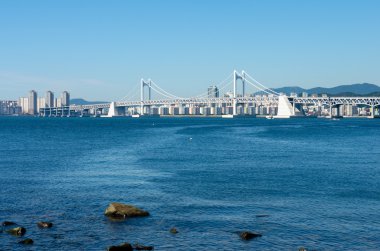 Gwangan köprü ve Kore'de Haeundae şehirde Busan