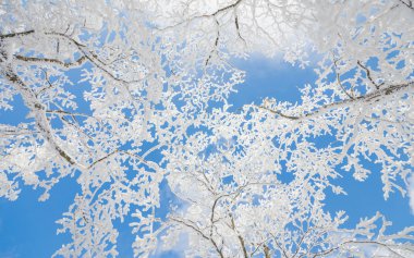 Kış manzara beyaz kar Kore Dağı.