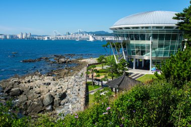 Gwangan köprü ve Busan, Korea evde Nurimaru Apec