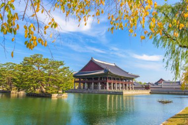 Sonbahar Gyeongbokgung Sarayı Seul, Kore.