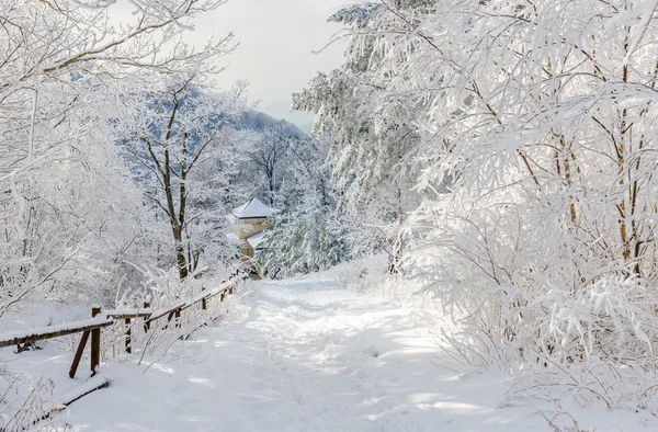 Kış manzara beyaz kar Kore Dağı.