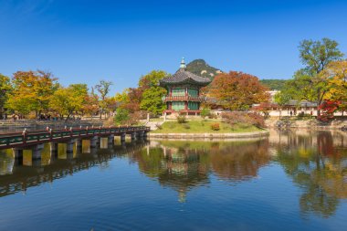 Sonbahar Gyeongbokgung Sarayı Seul, Kore.