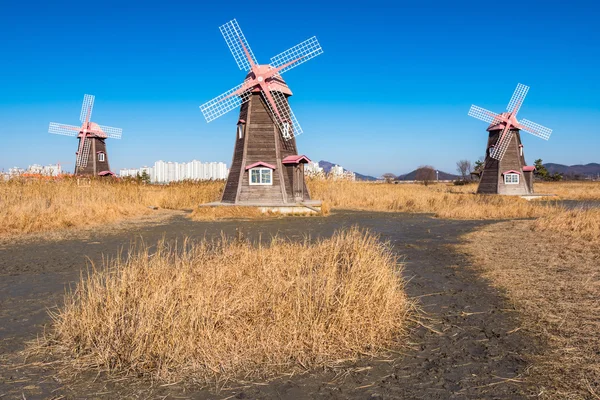 Gamla trä väderkvarnar fältet i park, Sydkorea. — Stockfoto