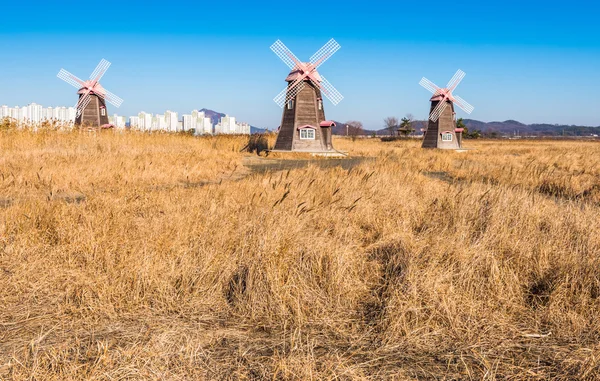 Trä mills fältet i park, Sydkorea. — Stockfoto