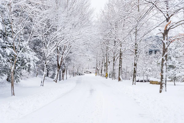 Winterlandschaft weißer Schnee des Berges in Korea. — Stockfoto